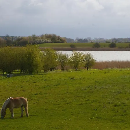 Schwalbennest Apartman
