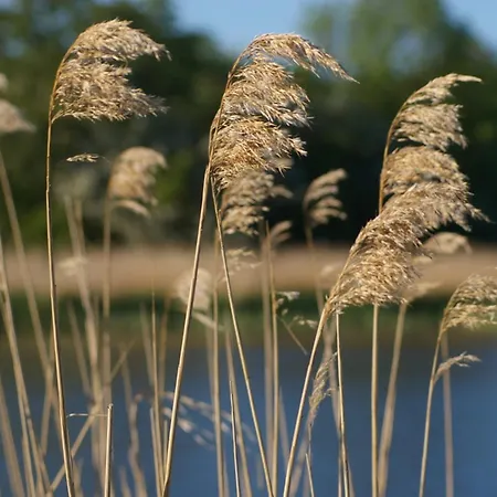Schwalbennest * Garz (Rugen)