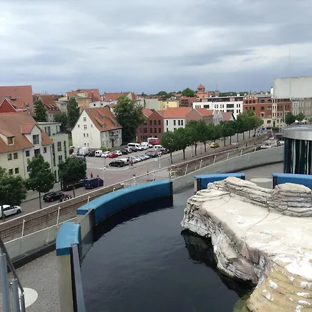 Schwalbennest Appartement *