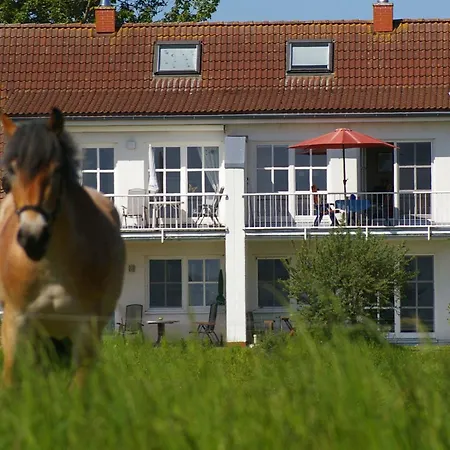 Lejlighed Schwalbennest Garz (Rugen)