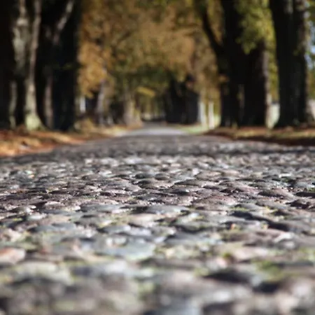 Schwalbennest Garz (Rugen)