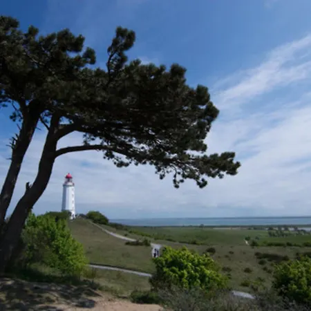 Schwalbennest Lejlighed