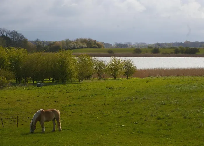 Schwalbennest Appartement