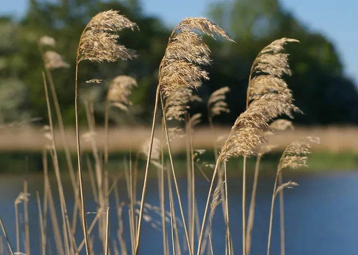 Schwalbennest * Garz (Rugen)