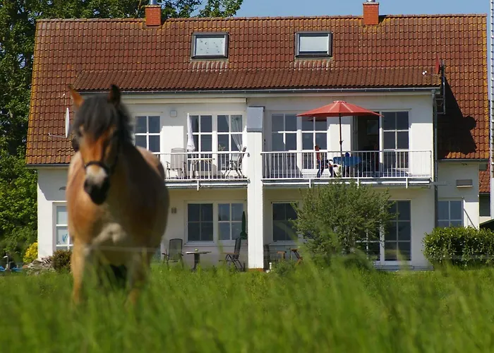 Appartement Schwalbennest Garz (Rugen)