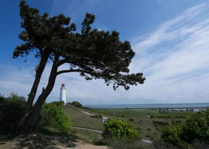 Schwalbennest Appartement