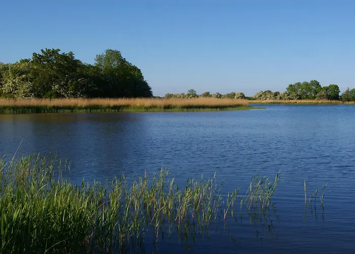 Appartement Schwalbennest Garz (Rugen)