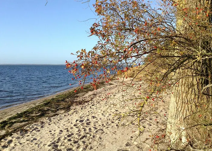 Appartement Schwalbennest *